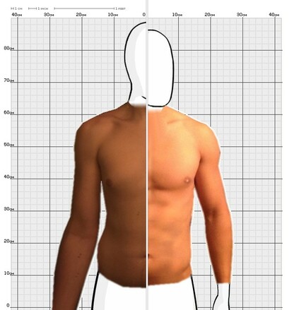 Torso Comparison