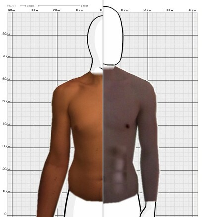 Torso Comparison