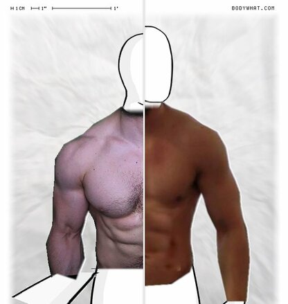 Torso Comparison