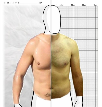 Torso Comparison