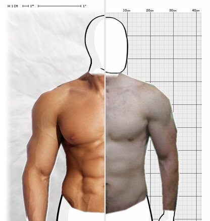 Torso Comparison