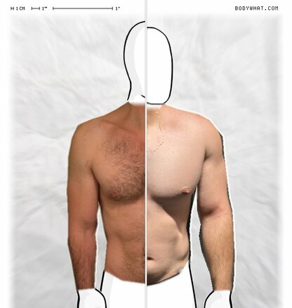 Torso Comparison