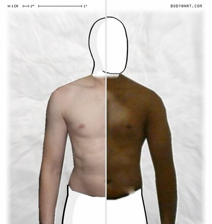 Torso Comparison