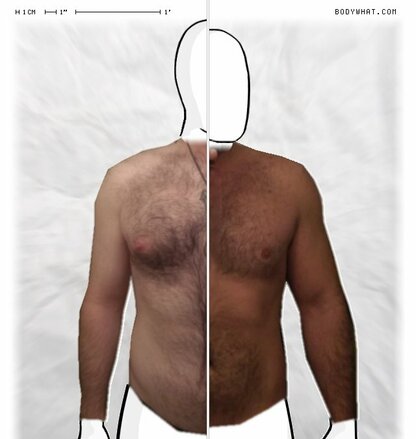 Torso Comparison