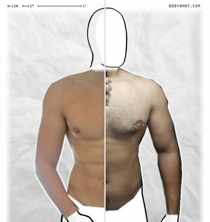 Torso Comparison
