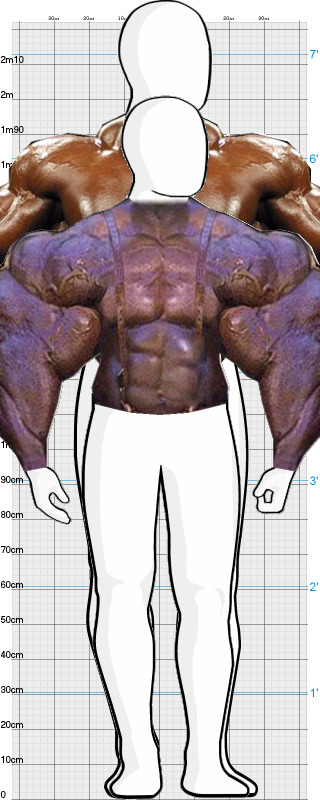 Full Size Comparison