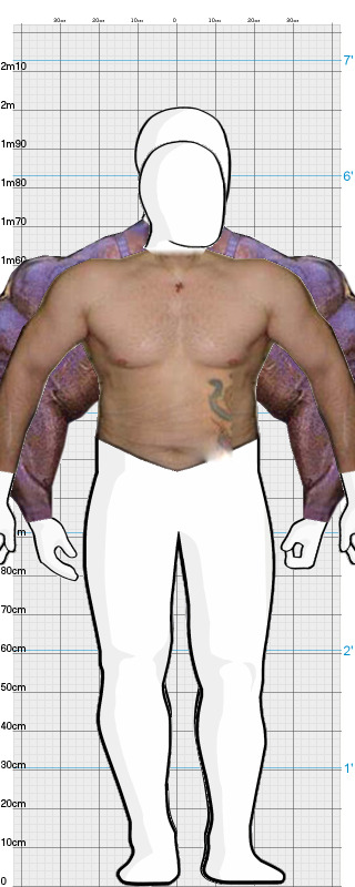 Full Size Comparison