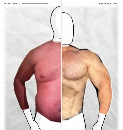 Torso Comparison