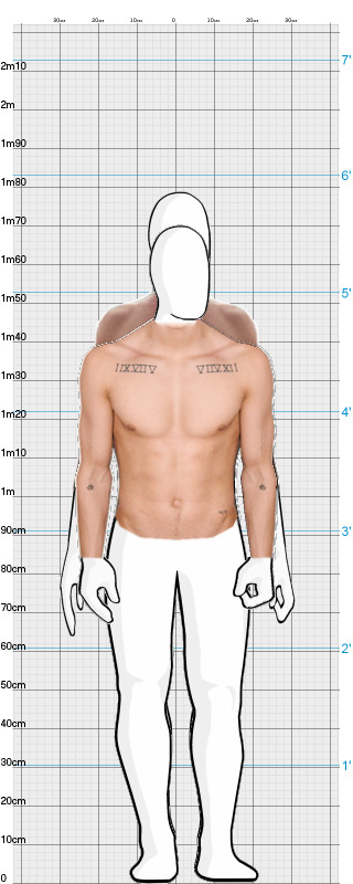 Full Size Comparison