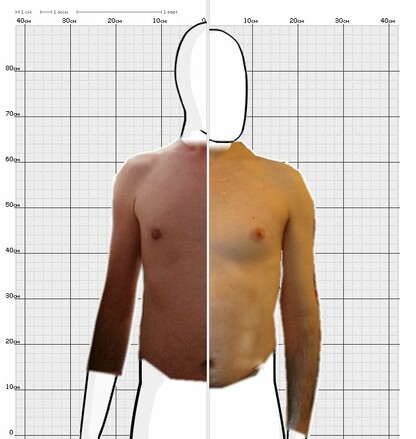 Torso Comparison