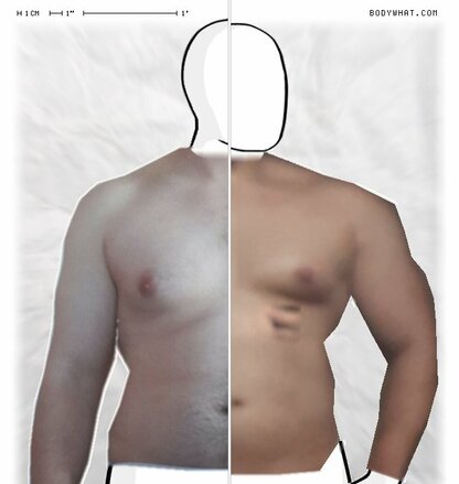 Torso Comparison