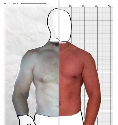 Torso Comparison