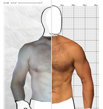 Torso Comparison