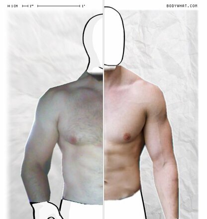 Torso Comparison