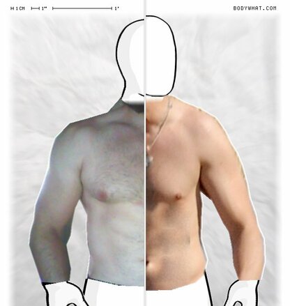 Torso Comparison