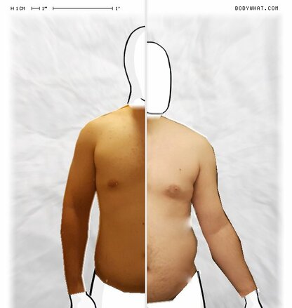 Torso Comparison