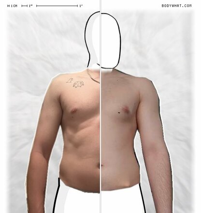 Torso Comparison