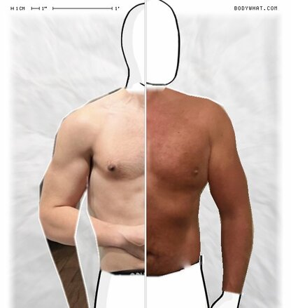 Torso Comparison