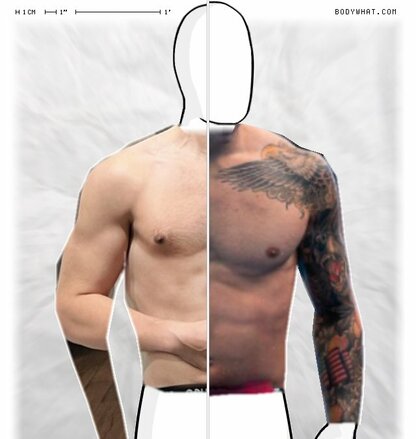 Torso Comparison