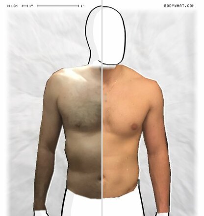 Torso Comparison