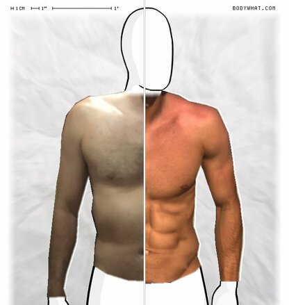 Torso Comparison