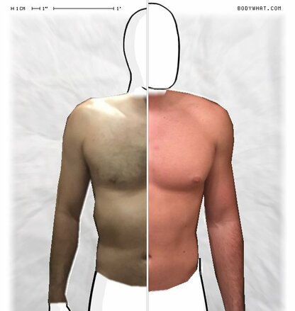 Torso Comparison