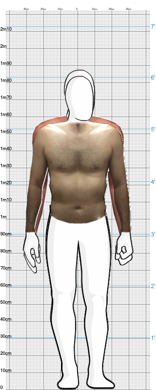 Full Size Comparison