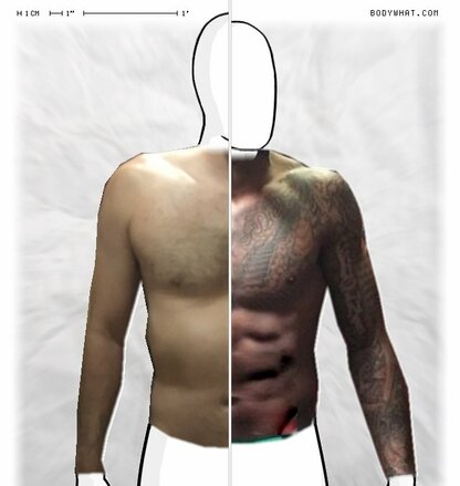 Torso Comparison