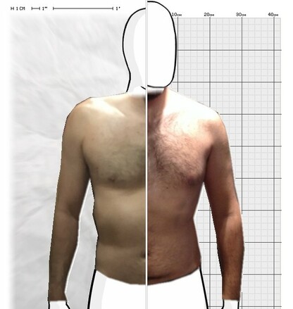 Torso Comparison