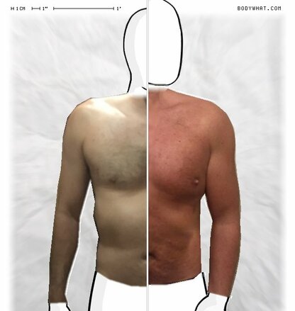 Torso Comparison