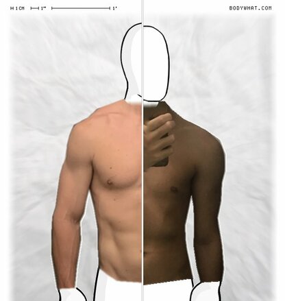 Torso Comparison