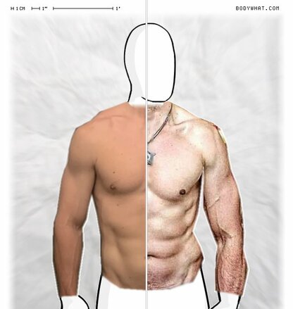 Torso Comparison