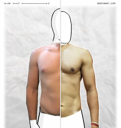 Torso Comparison