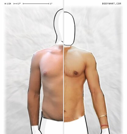 Torso Comparison