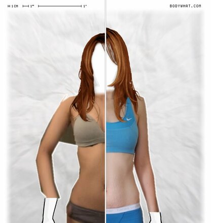 Torso Comparison