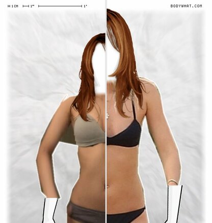 Torso Comparison