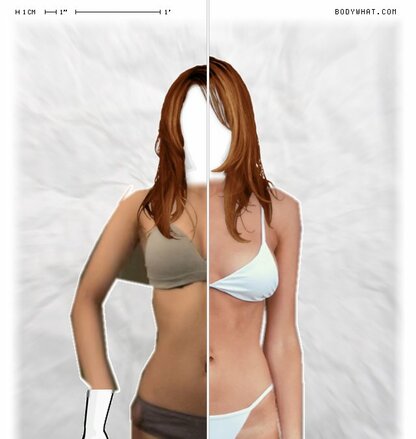 Torso Comparison