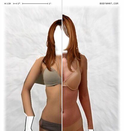 Torso Comparison