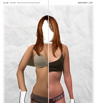 Torso Comparison