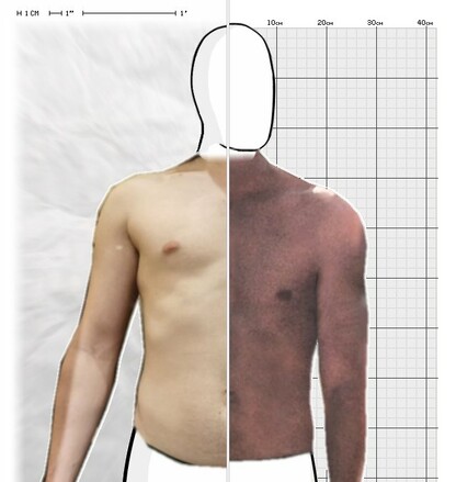Torso Comparison