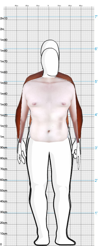Full Size Comparison