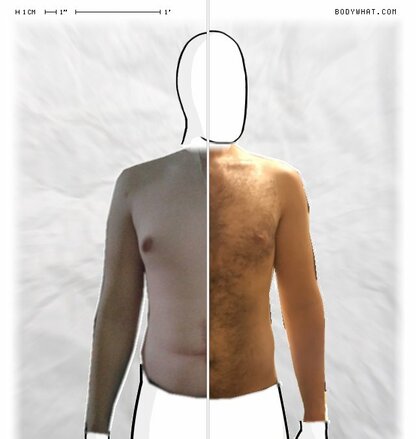 Torso Comparison