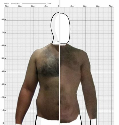 Torso Comparison