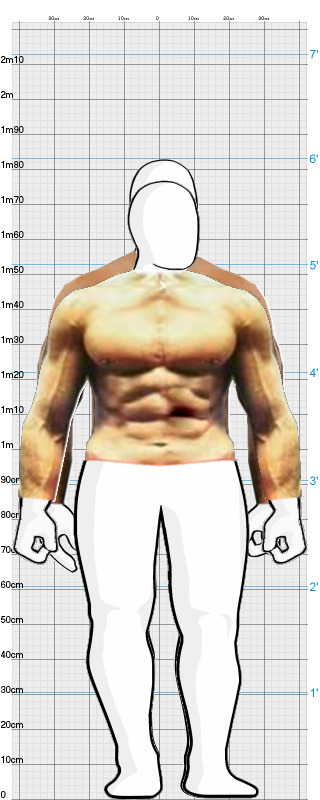 Full Size Comparison