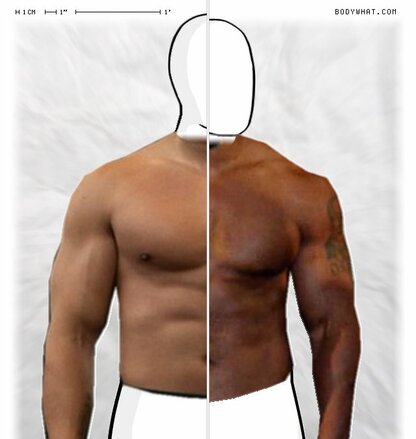 Torso Comparison