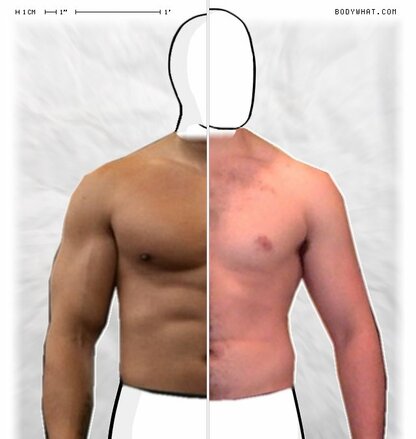 Torso Comparison