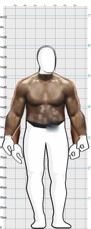 Full Size Comparison
