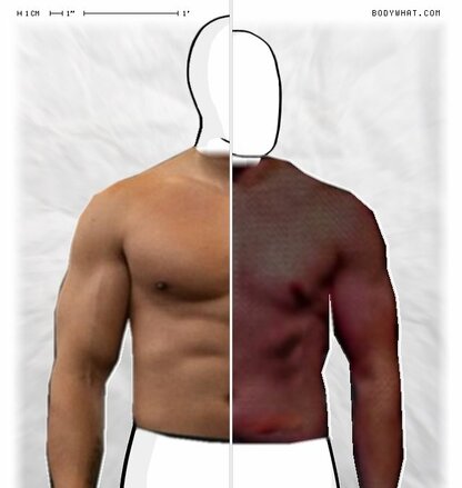 Torso Comparison