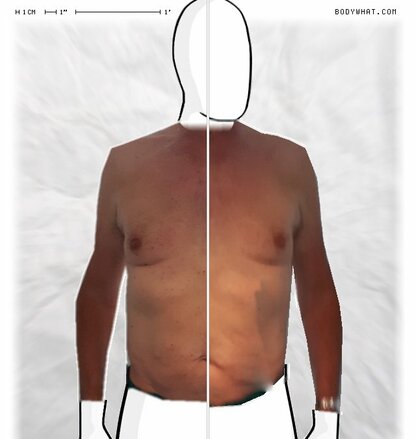 Torso Comparison