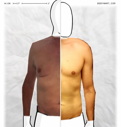 Torso Comparison